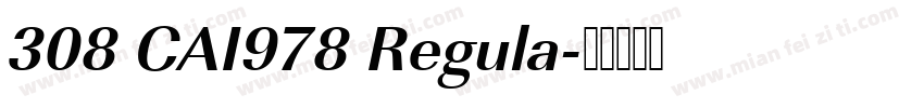 308 CAI978 Regula字体转换